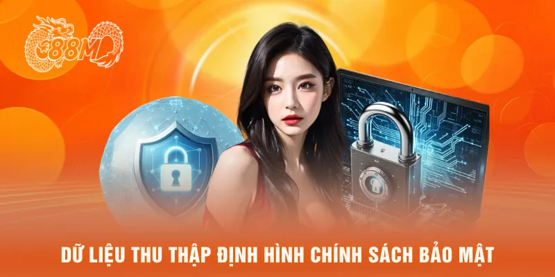 Dữ liệu thu thập định hình chính sách bảo mật